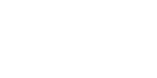 American Dynamics