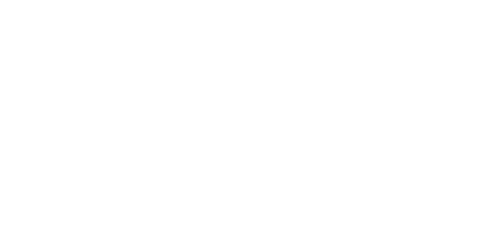 Bostex