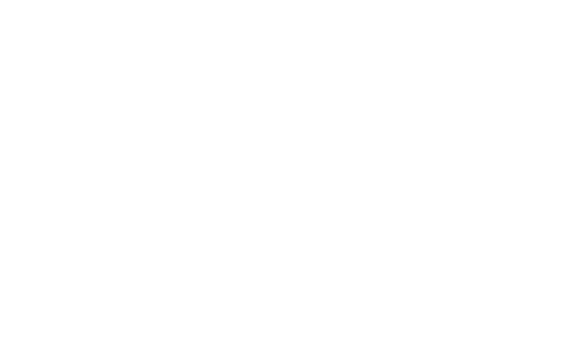 VMI Logo White